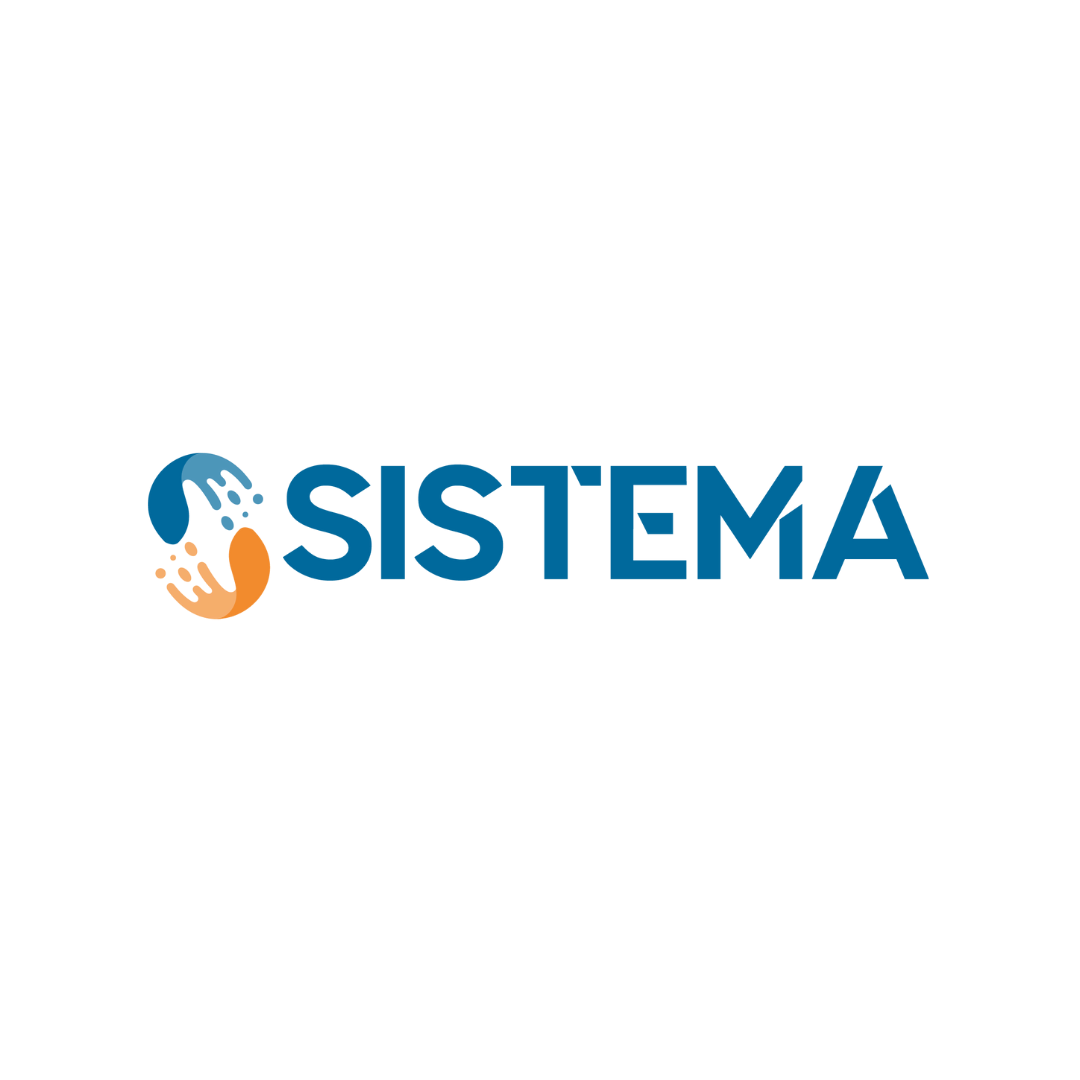 sistema training srl